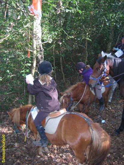 POTE Orbec 2011 epreuve trec loisir - 20111016-pote-orbec- 011.jpg